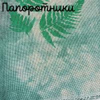 Беломерка лён папоротник