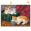 Три котёнка